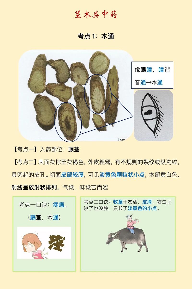 印瑞印度代购希爱力是真的吗？避坑指南与正品鉴别全攻略